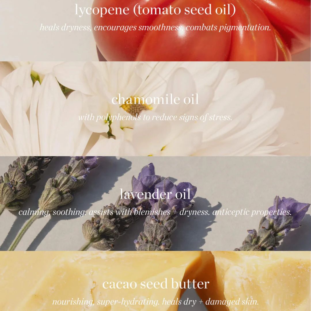 Wild Tomato Riche Crème